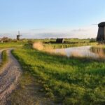 逐梦国际:留学期间的安全与法律常识 0xy4v