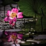 逐梦国际:如何在留学期间建立人际网络 435i1j