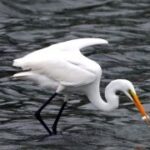 豪门国际pg:如何在豪门中保持真实自我 9szu0