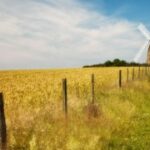 C7娱乐:用户生成内容对娱乐行业的影响 h91ge1x