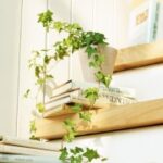 豪门国际pg:豪门家族的传承与创新 i34qxtv