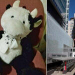 C7娱乐:探索全新娱乐平台的无限可能 tfyc488gru